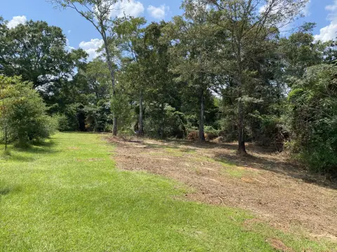 9.97 Acres Residential Land Collins
