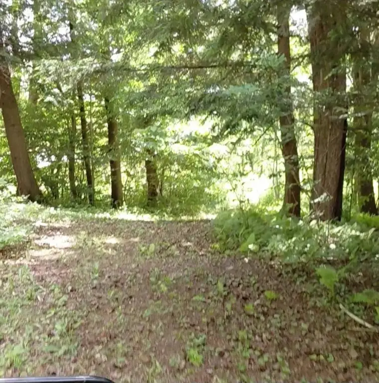 Picture 3