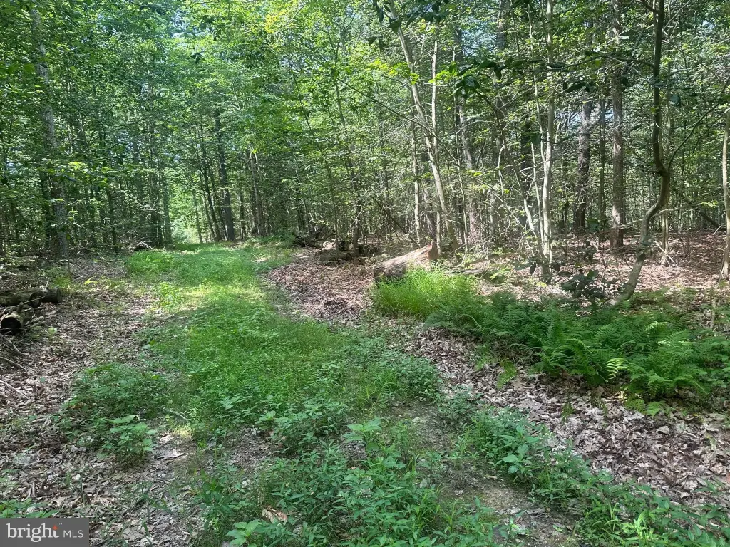 Picture 24