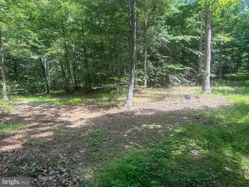 Picture 22