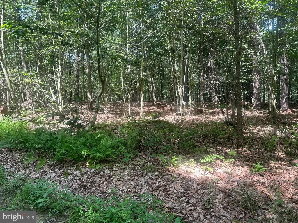 Picture 26