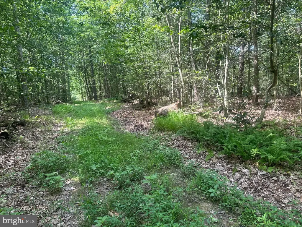 Picture 24
