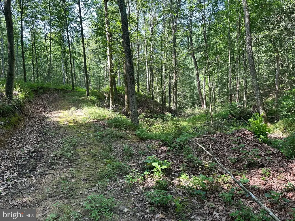 Picture 23