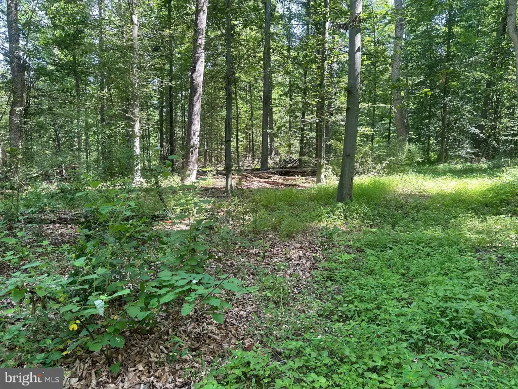 Picture 13