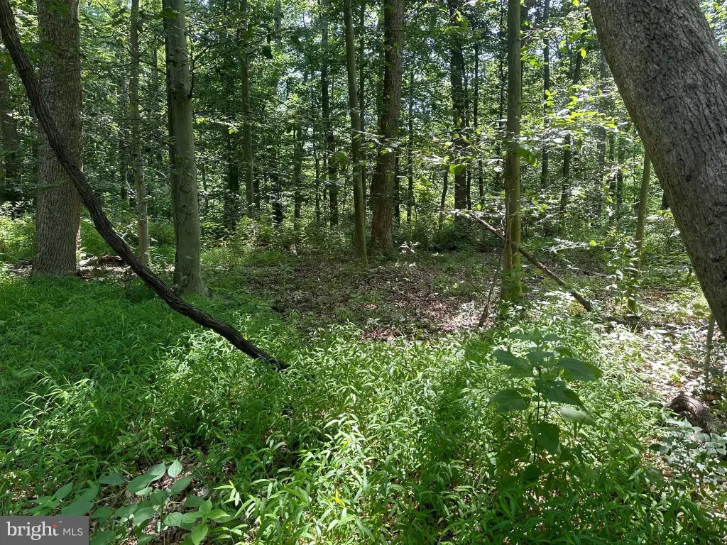Picture 25