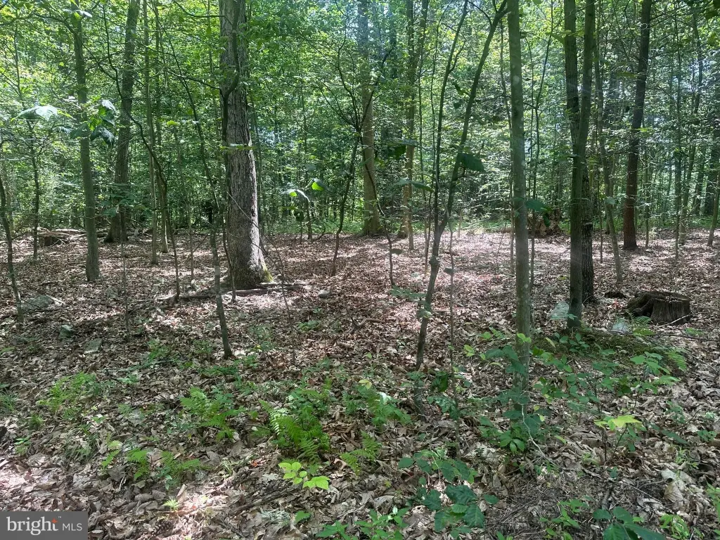 Picture 19