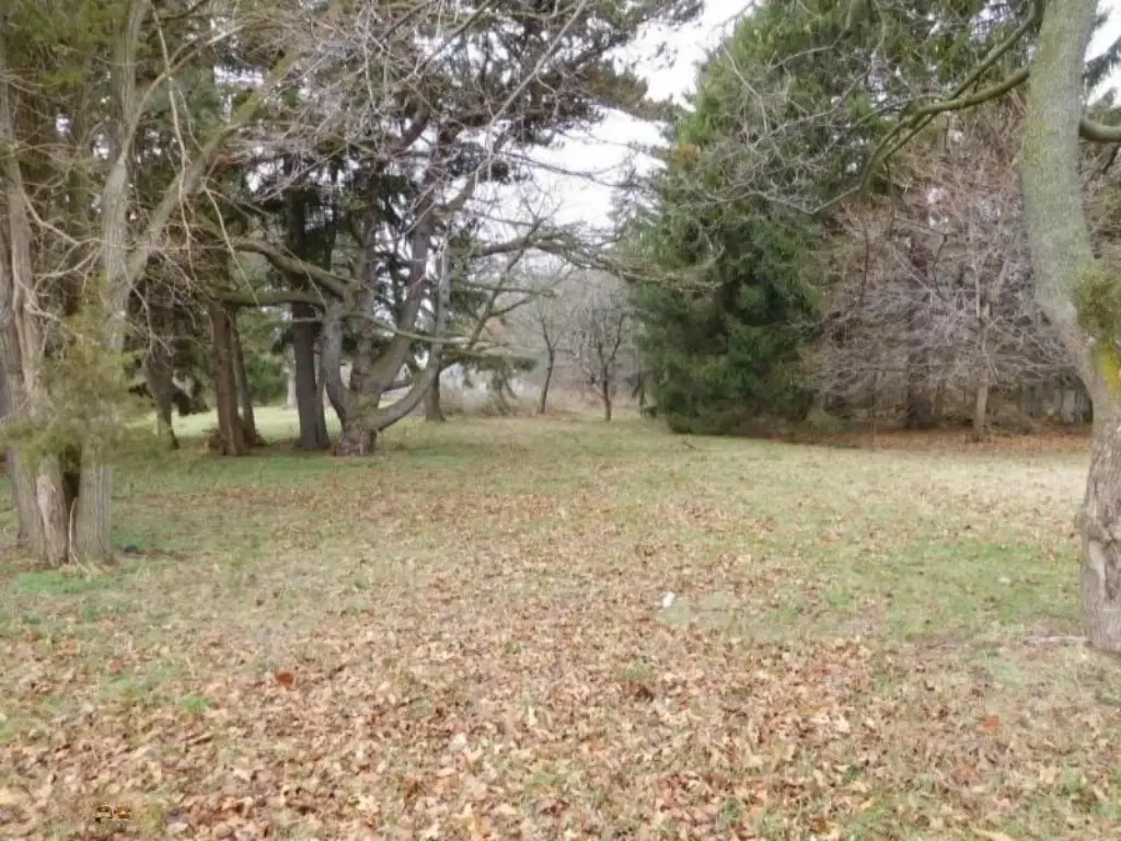 Picture 3