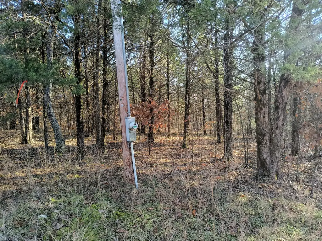 Picture 5