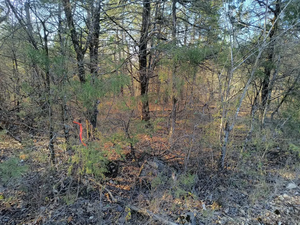 Picture 3