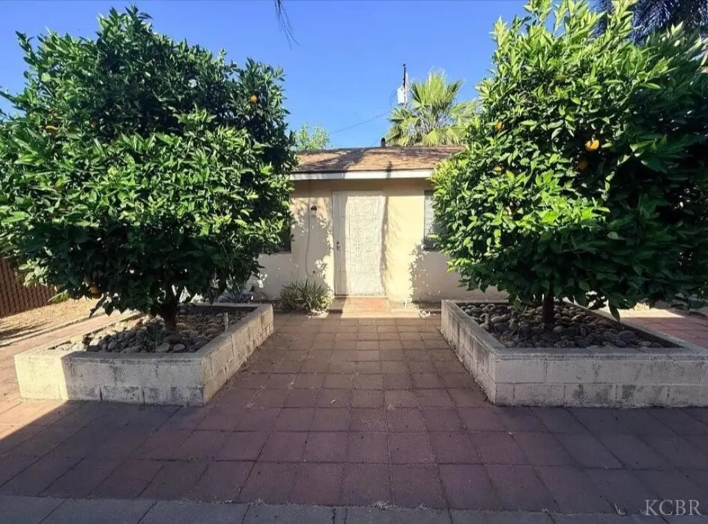 Picture 19