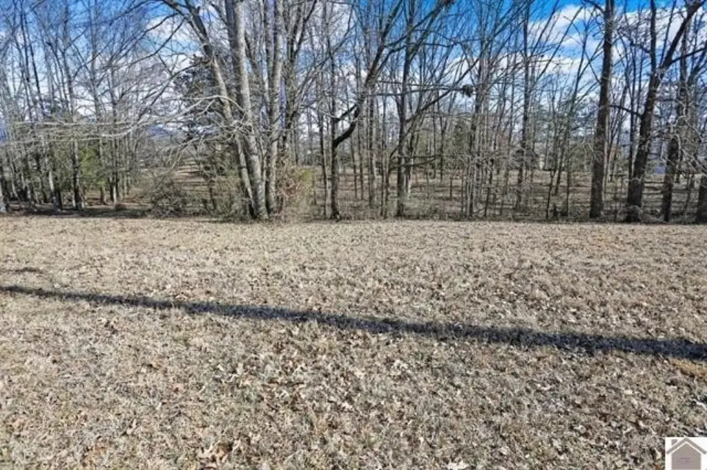 Picture 3