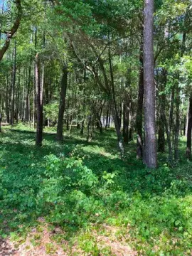 Residential Lot in Gated Community