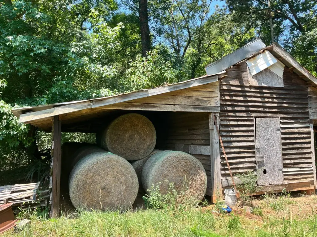 Picture 23