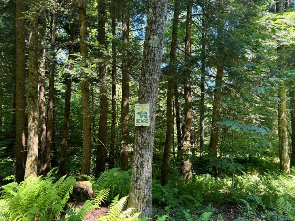 Picture 6