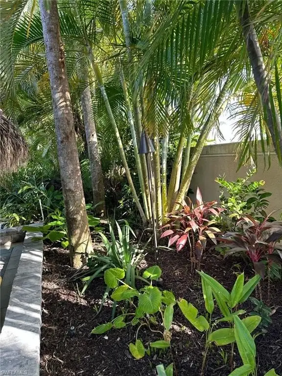 Picture 17