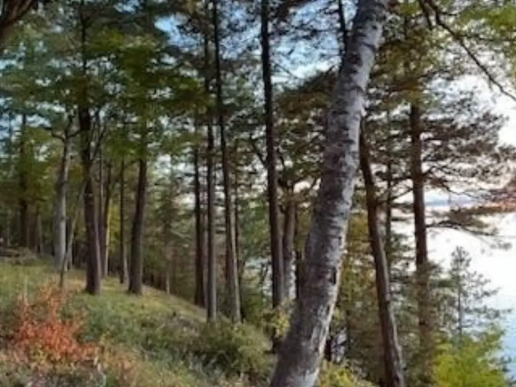 Picture 4