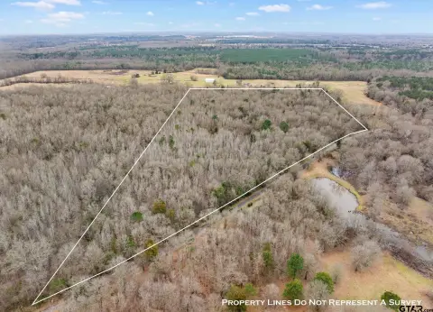 Wooded Acreage Near Pittsburg, Texas