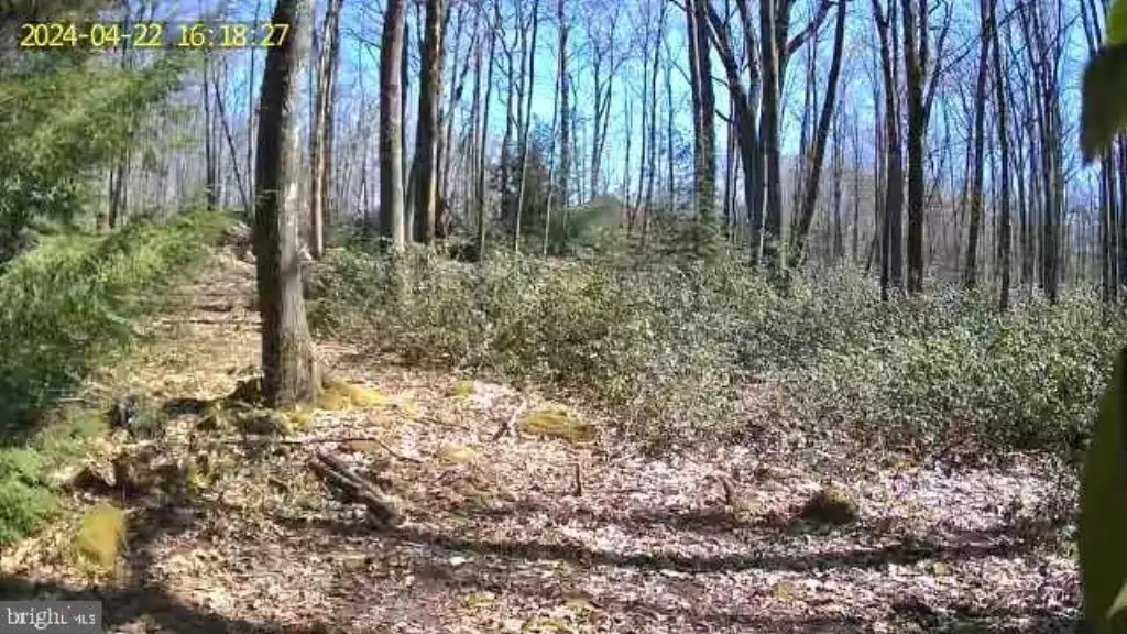 Picture 8