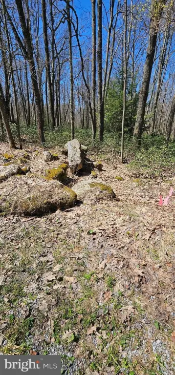 Picture 2