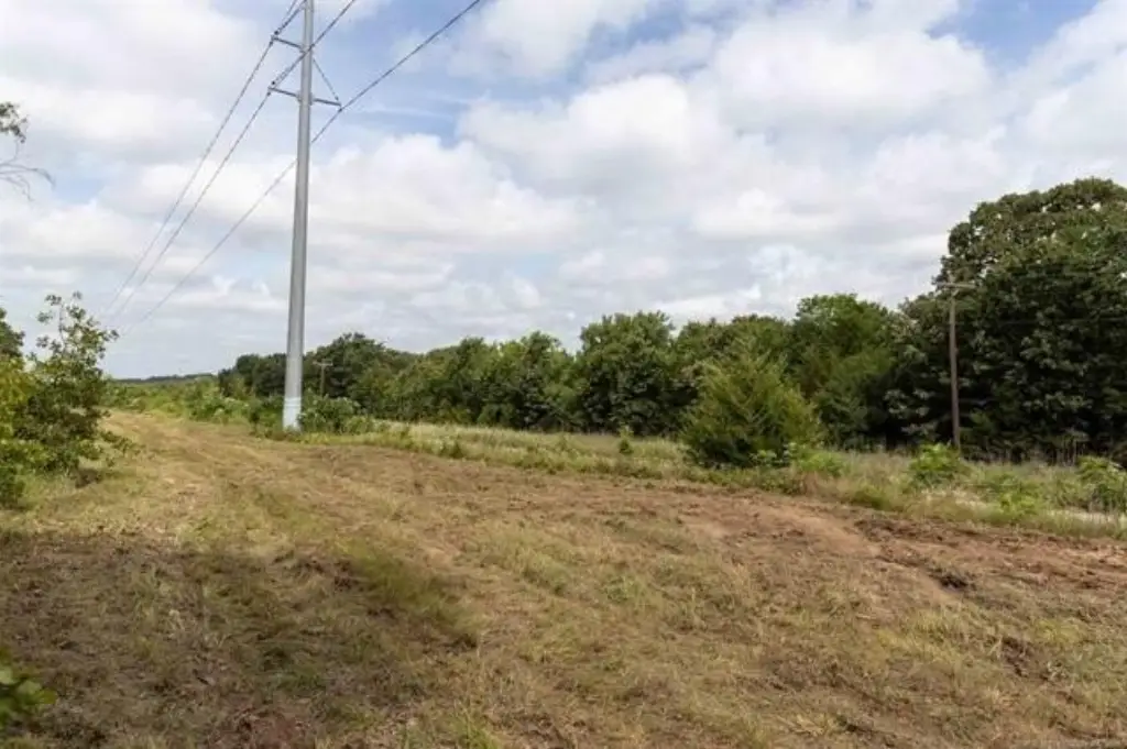 Picture 3