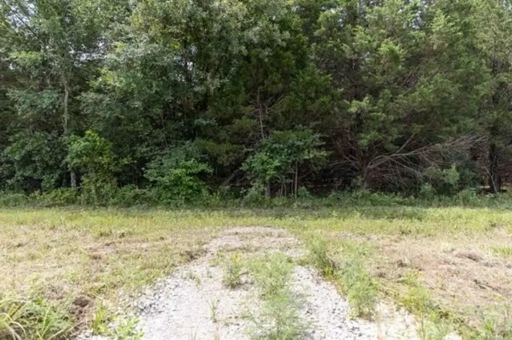 Picture 20
