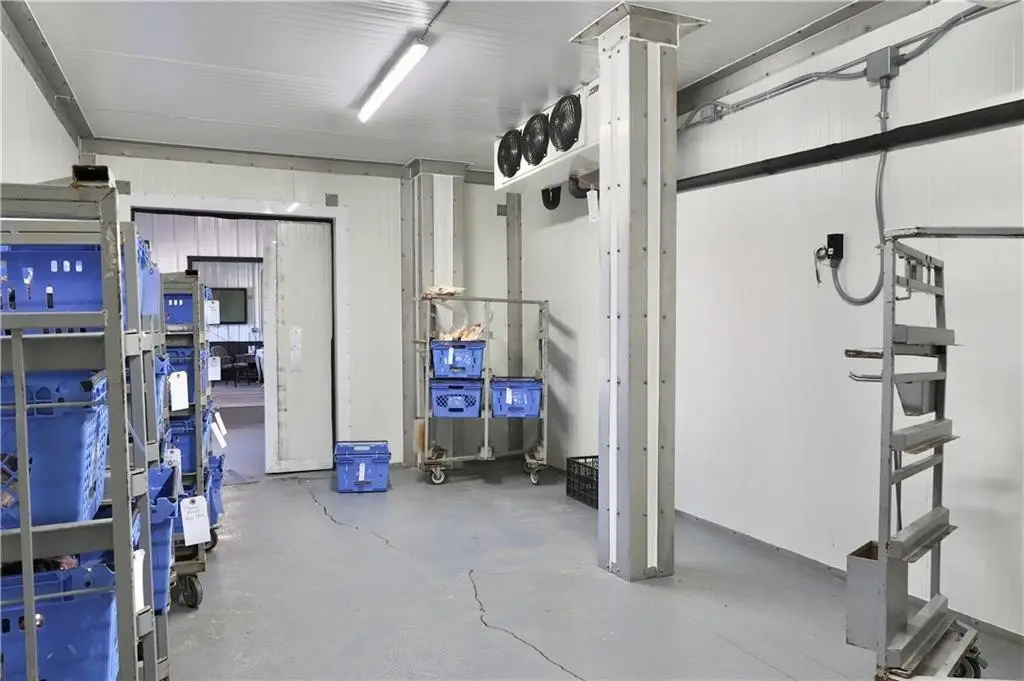 Picture 25