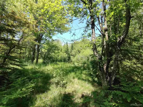 36 Acres Wooded Land, Alger