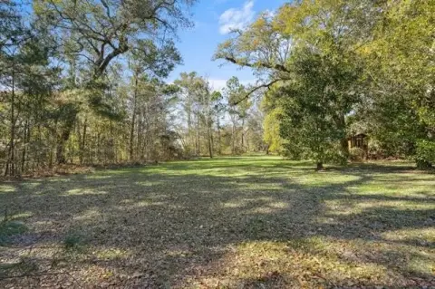 Cleared Lot in Old Mandeville