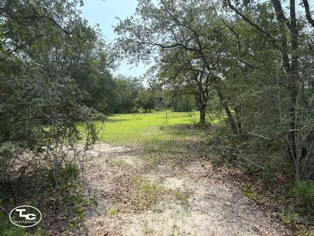 Picture 28