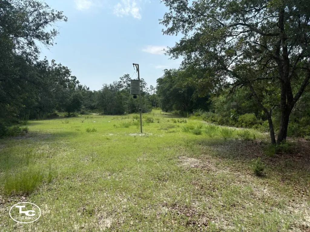 Picture 22
