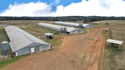 Operational Poultry Farm With Four Houses