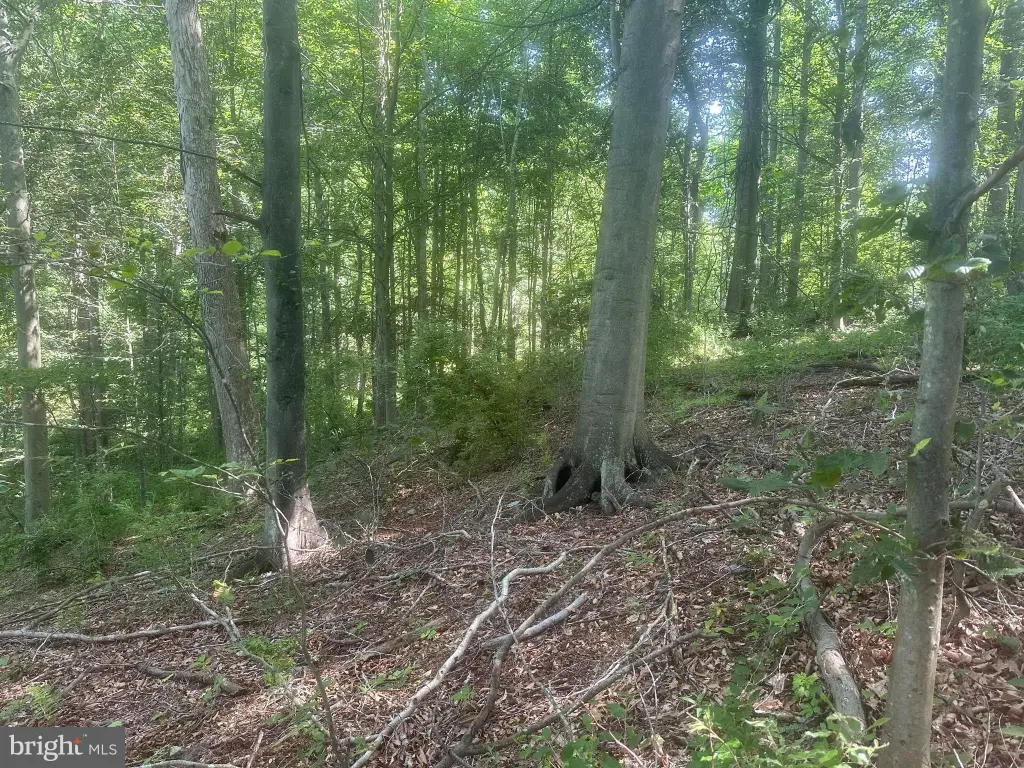 Picture 30