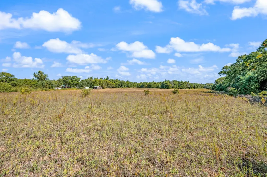 Picture 19