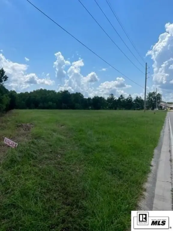 Picture 2