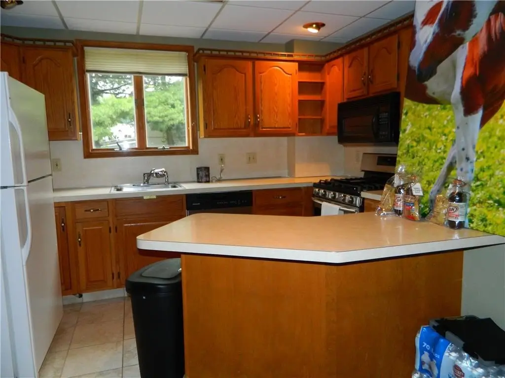 Picture 8