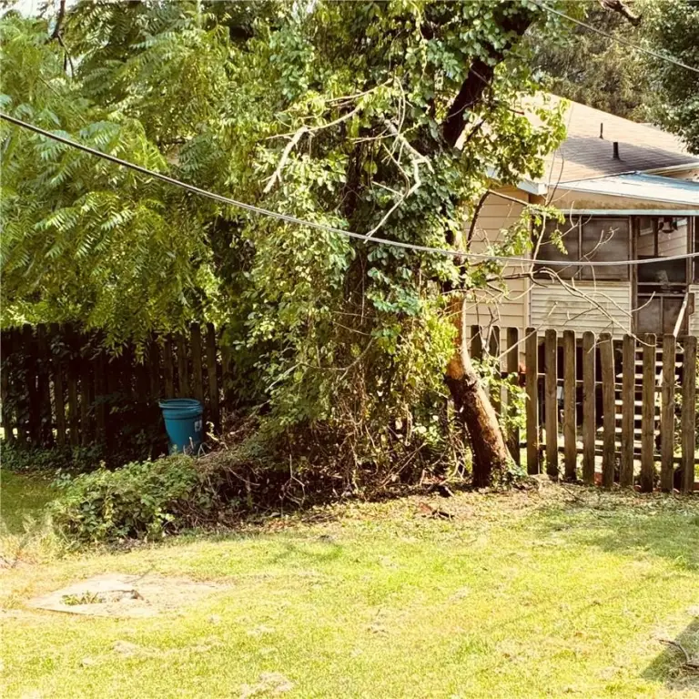 Picture 11