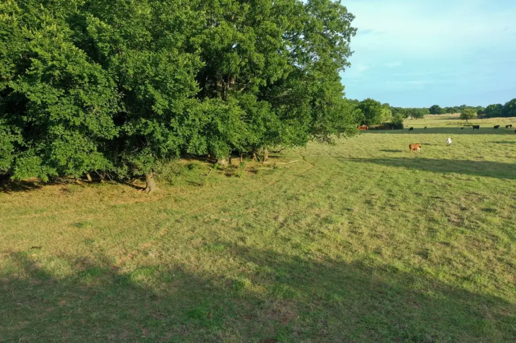Picture 20