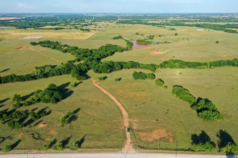 Working Cattle Grazing Ranch