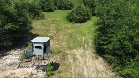Hunting Land with Timber Stand