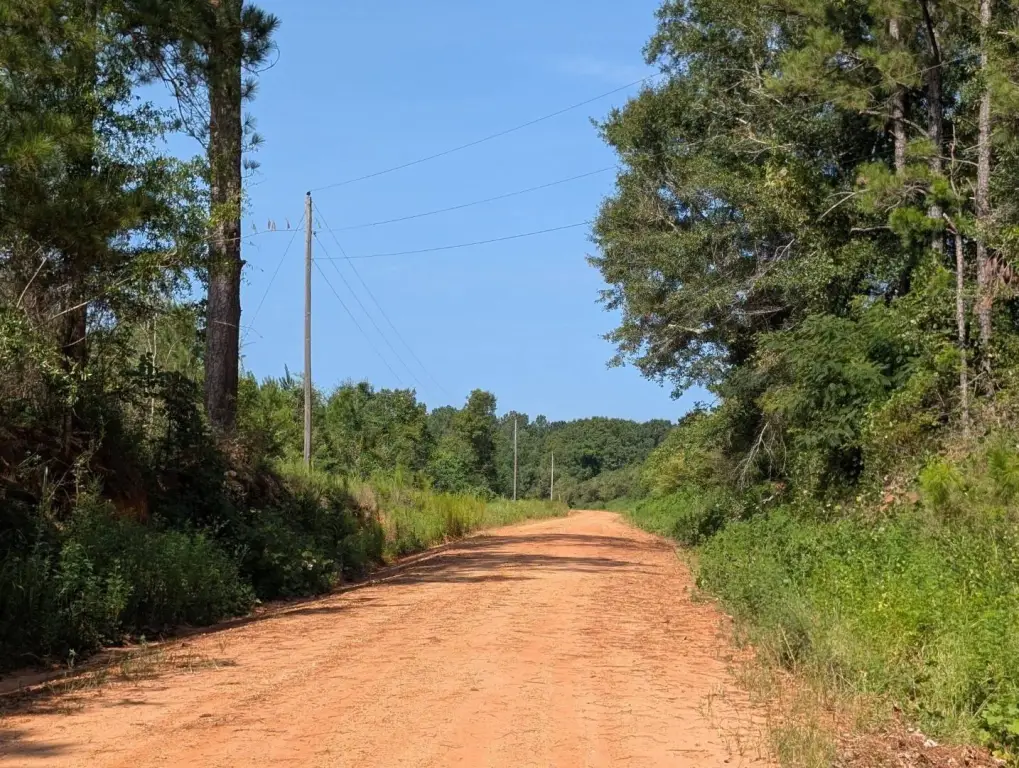 Picture 20