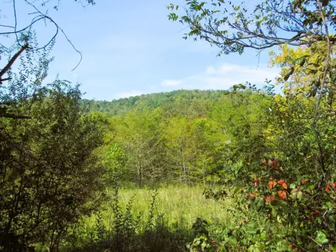 Waterfront Land with Creek