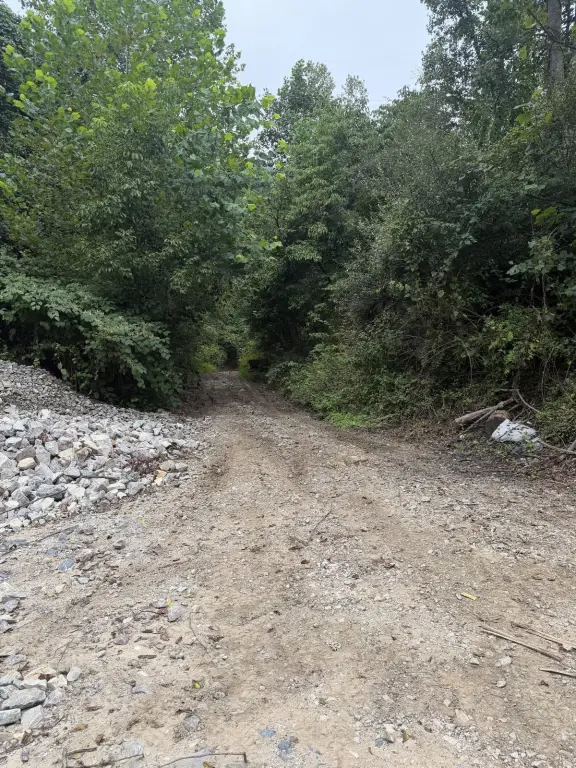 Picture 6