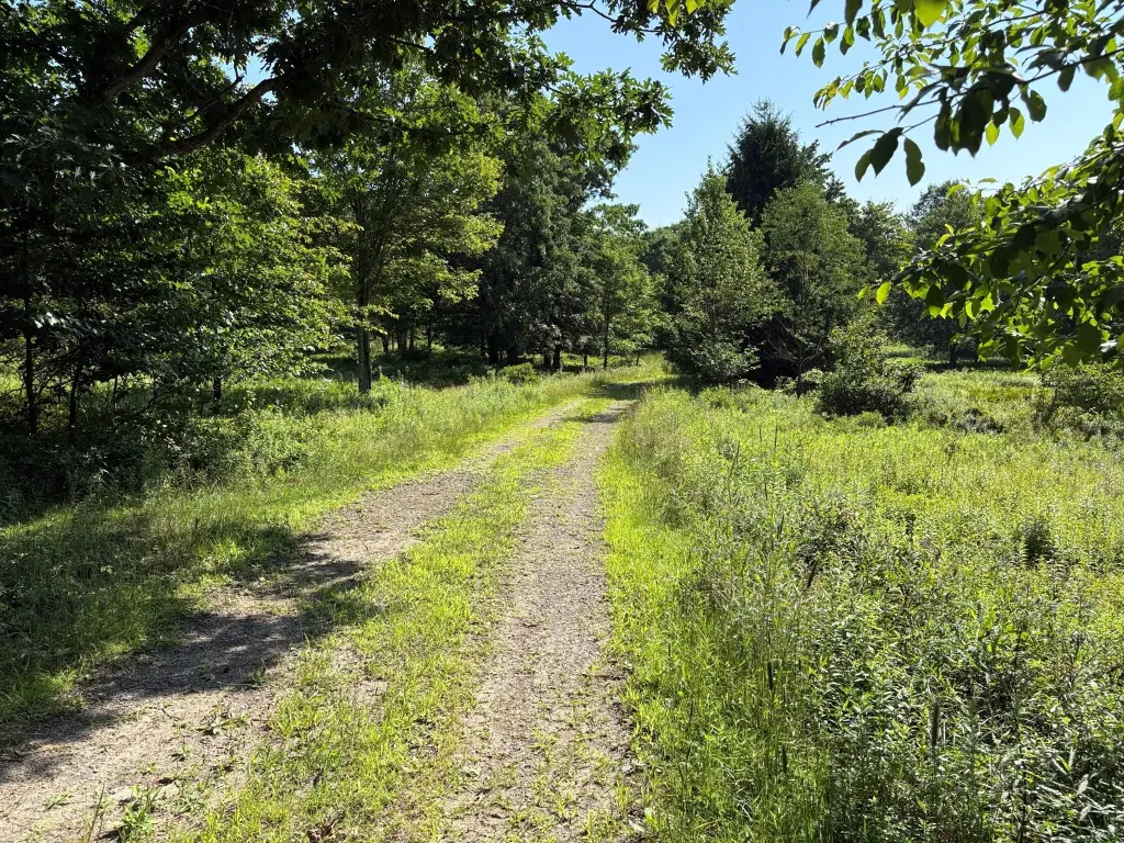 Picture 23
