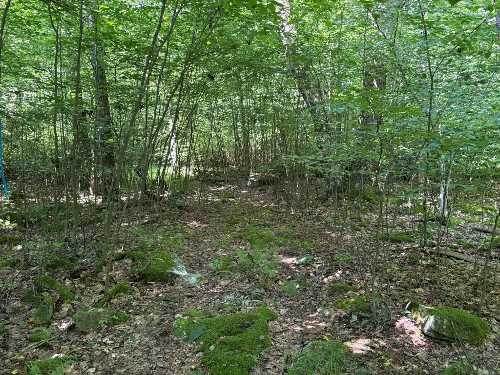 Picture 29