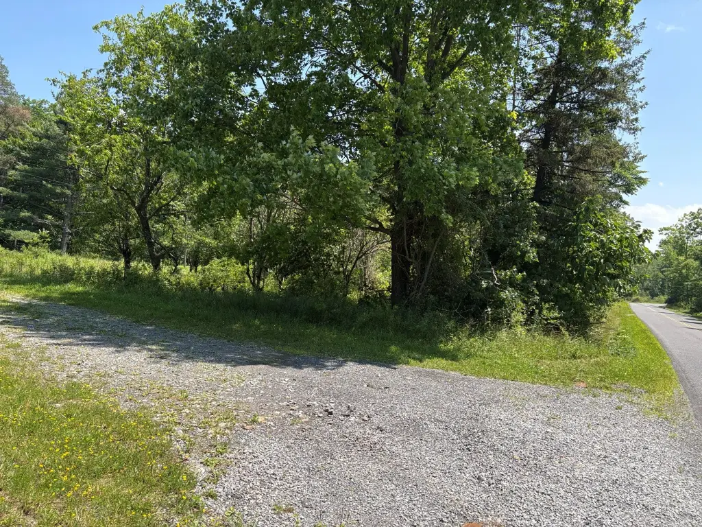 Picture 21