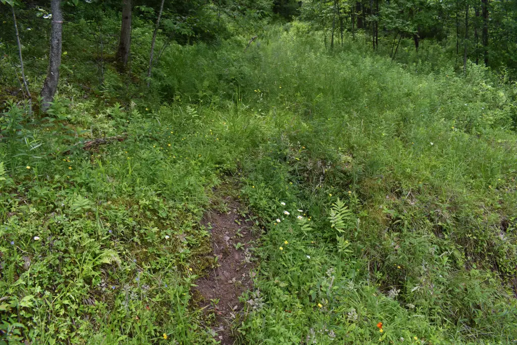 Picture 14