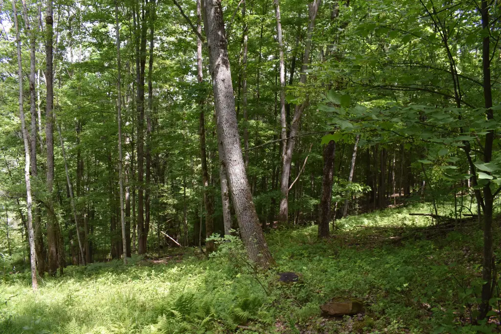 Picture 20