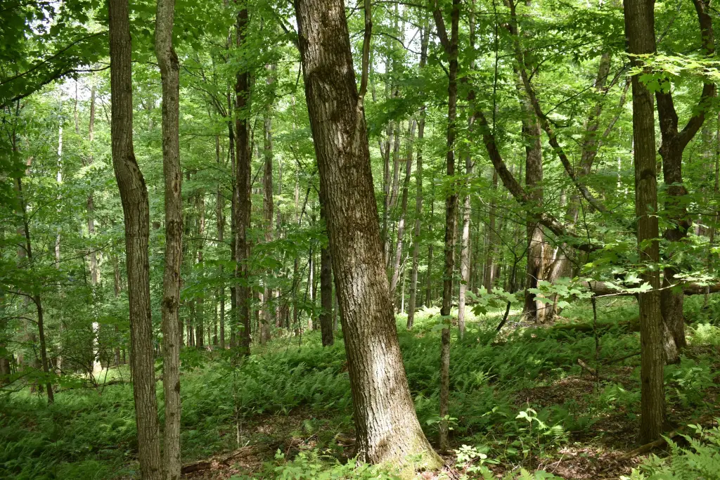 Picture 17