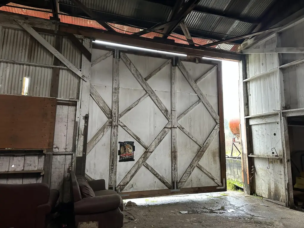 Picture 5