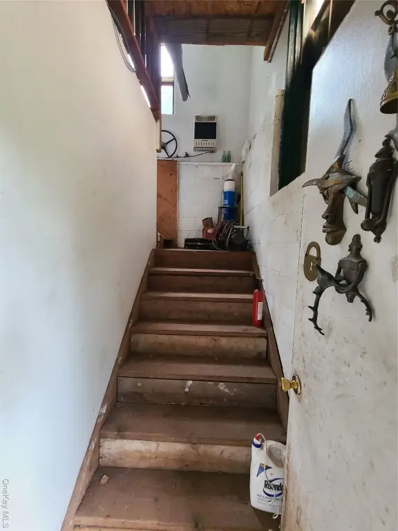 Picture 23